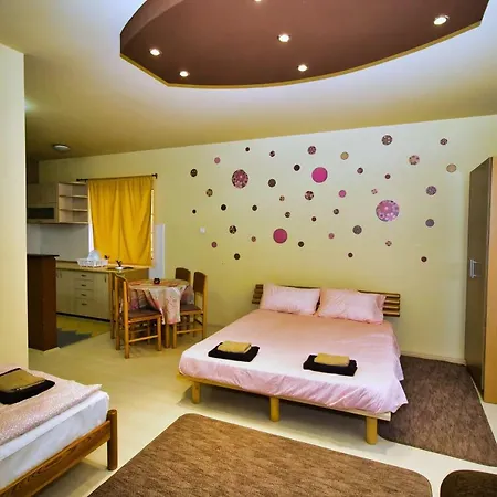 Bed & Breakfast Vila Radulovic *