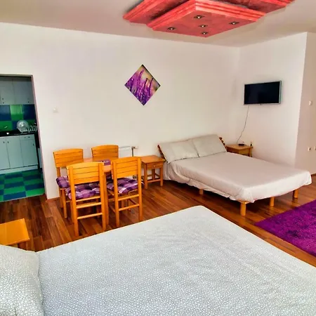 Vila Radulovic Bed & Breakfast Novi Sad