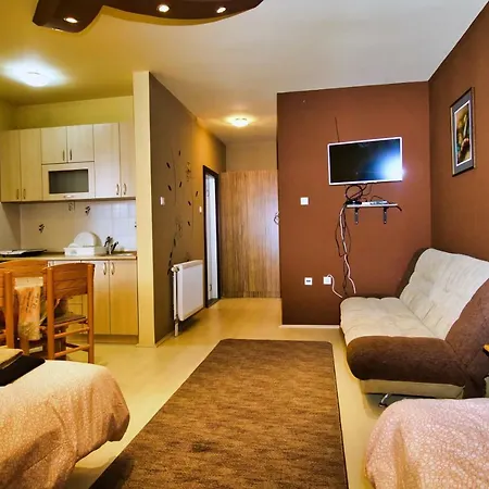 Vila Radulovic * Novi Sad